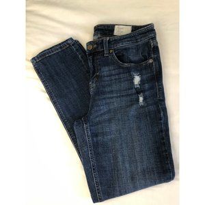Cosmic Blue Love Skinny Ankle Distressed Jeans Soze 30
